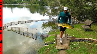 BUILDING Pet FISH WALL in LAKE [upl. by Abran]