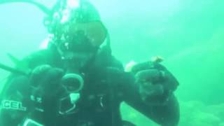 Eating Scallops Underwater Southern California Scuba Diving [upl. by Ilhsa32]