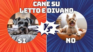 Il cane può salire sul letto e sul divano [upl. by Ycats]