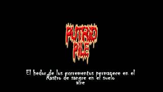 Putrid Pile Covered In Excrement subtitulado en español [upl. by Margie]