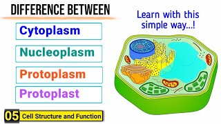 Difference among Cytoplasm Protoplasm Nucleoplasm and Protoplast  J Biology [upl. by Roybn]