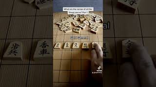 Learn the names of the Shogi pieces shogi japanesechess chess 将棋 japanese [upl. by Davine]