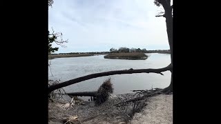 Rucking🥾 Edisto Beach State Park The Ultimate Guide [upl. by Ennaeiluj]