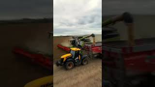 Kombinat Rolny Kietrz Soja 2024 🔥 dc farming youtubeshorts agriculture claas big dlaciebie [upl. by Nelie]