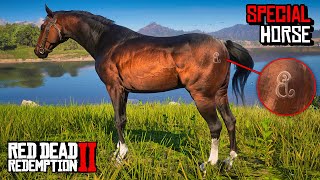 How To Get Special TURKOMAN still WORKS Braithwaite Turkoman  RDR 2 [upl. by Haelhsa578]