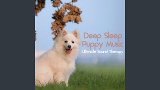 Dog Sounds [upl. by Yaner]