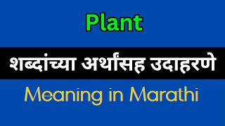 Plant Meaning In Marathi  Plant explained in Marathi [upl. by Yenattirb422]