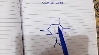 Draw Circle of Willis in 5 seconds  Neuroanatomy [upl. by Aicemaj]