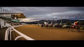 Dundalk  racing returns to Irish venue [upl. by Dunning]