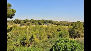 184950€  DUPLEX APARTMENT WITH VIEWS OF VILLAMARTIN GOLF COURSE TAKE THE TOUR WITH SIMON [upl. by Amehsyt841]