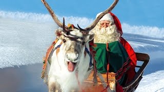 Rennes du Père Noël en Laponie 🦌🎅 vrai Papa Noël à Rovaniemi Finlande  Village du Père Noël [upl. by Carlisle]