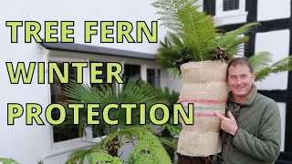 Tree Fern WINTER CARE [upl. by Venetis]