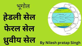 Hadley Cell Ferrel Cell and Polar Cell by Nilesh pratap singh [upl. by Tressia]