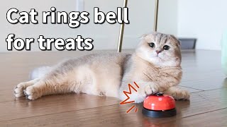 How to train cats to ring bell Cat rings the bell for treats  Teaching our cat to ring the bell [upl. by Ornas]