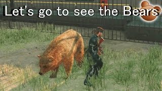 MGS5 Lets go to see the Bears  Animal Conservation Platform Free [upl. by Yalonda]