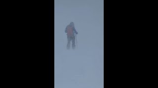 FullOn Winter Storm Skiing w Ski Legend Andrew McLean Tuesday at Alta UT [upl. by Kacy]