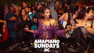 Amapiano Live Mix  AmapianoDMV x PRIYANKA [upl. by Souvaine]