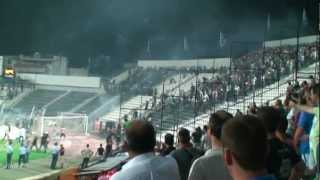 PAOK vs Rapid Wien  Fight before the game [upl. by Annej736]