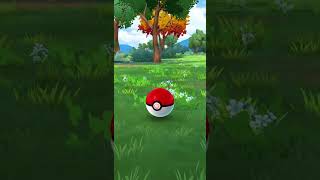 Shiny Buizel pokemon pokemongogaming pokemongo pokemontcg pokemonunite fyp trending shiny [upl. by Esinaj72]