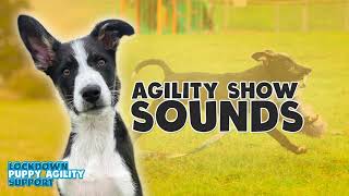 Agility Show Sounds  Lockdown Puppies [upl. by Barcroft199]