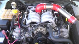 My ford fairmont ba 54 v8 updated review [upl. by Inigo]