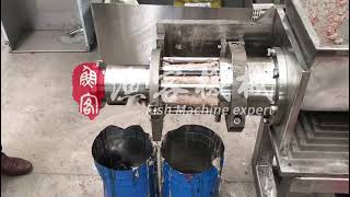 Commercial Fish Deboner Machine [upl. by Hakeber]