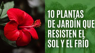 10 PLANTAS de jardín que resisten el CALOR y el FRÍO [upl. by Agn]