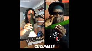 Macka B and The Kiffness quotCucumbaquot Cucumber Rap [upl. by Yelac]