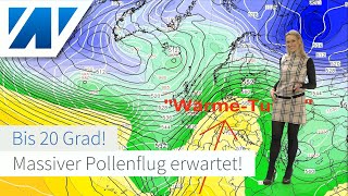 Allergiker aufgepasst Starker Pollenflug beginnt Kräftige Erwärmung bringt bis zu 20 Grad [upl. by Ocramed]