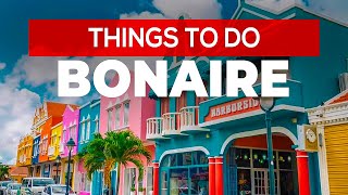 Things to do in Bonaire [upl. by Andrew]