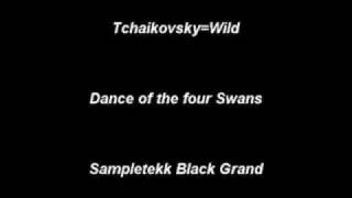 Tchaikovsky ArrEarl Wild  Dance of the Four Swans [upl. by Stieglitz]