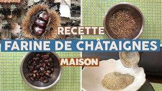 RECETTE DE FARINE DE CHATAIGNES TUTO [upl. by Strickland]