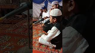 Amazing tilawat by little child tilawat quranrecitation quran [upl. by O'Brien]