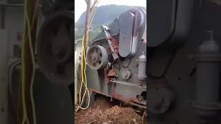 812 th Efficient Wood Chipper Hammer Mill Wood Crusher High Quality Easy Operate Best Price [upl. by Yaniv82]