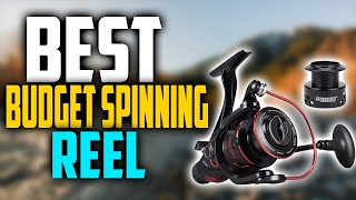 ✅Top 5Best Budget Spinning Reel In 2025 🎣 Best Affordable Spinning Reel [upl. by Aronael]