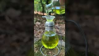 Survival Skills Make Your Own Oil Lamp survivalskills [upl. by Lipski]