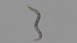 C elegans nematode analyzing its behavior [upl. by Argent]