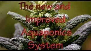 Aquaponics System Part 4 [upl. by Hairam]