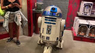 The 25000 R2D2 in Star Wars Galaxys Edge Droid Depot [upl. by Earla]