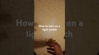 How to turn on a light switch 🤔 [upl. by Alor]