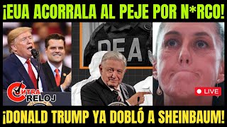 ¡OBRADOR en la MIRA de EUA por NRCO ¡TRUMP DOBLA a SHEINBAUM ¡NERVIOS en PALACIO  CONTRA RELOJ [upl. by Artenal]