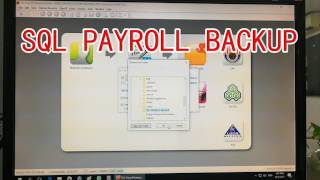 LEARN SQL PAYROLL BACKUP IN 2 MINUTES [upl. by Eiram270]