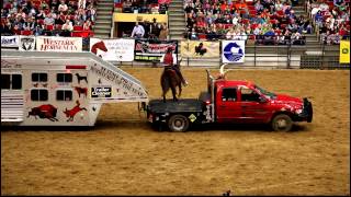 Onearmed bandit John Payne with His Buffalo at the MidAmerica Horse Fair in 2011 [upl. by Hyrup]