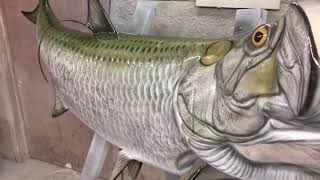 Tarpon Fish Mount [upl. by Chickie522]