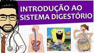 Sistema Digestório 01  Visão geral do trato gastrointestinal conceitos e funções  Vídeoaula [upl. by Yedarb]