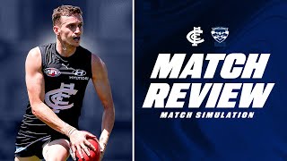 AFL Match Simulation 2024  Carlton V Geelong  Match Review [upl. by Ardnoel]