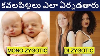 కవల పిల్లలు ఎలా ఏర్పడతారు  Twins Formation During Pregnancy  Twins During Pregnancy In Telugu  HD [upl. by Hoag]