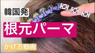 韓国で人気の根本パーマのやり方！ 韓国根本パーマ美容師 [upl. by Hetti442]