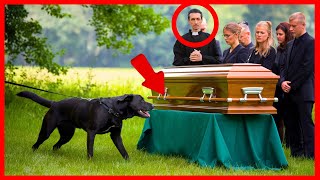 MACABRE SECRET Revealed by Dog at FUNERAL Priest Collapses [upl. by Molloy]