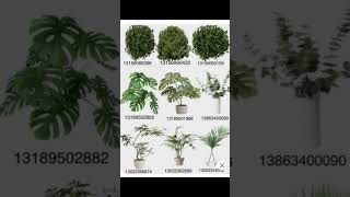 Bloxburg plant decals codes off Pinterest  PART2  Not mine [upl. by Sura68]